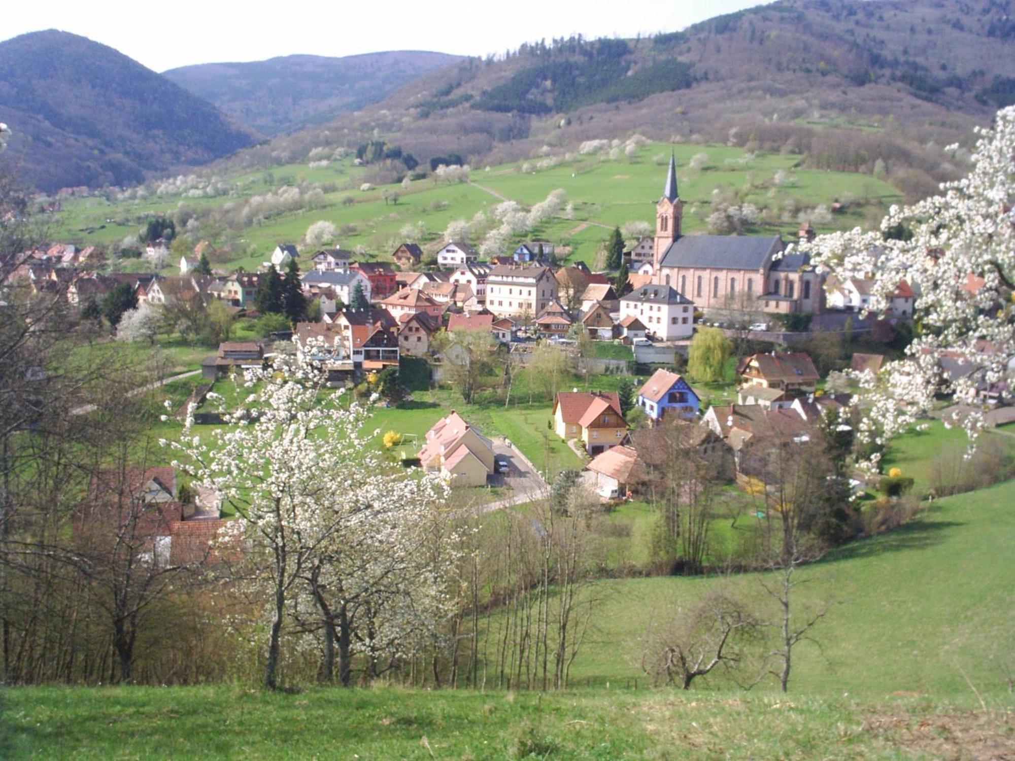 Gite Bellevue Breitenbach Kültér fotó