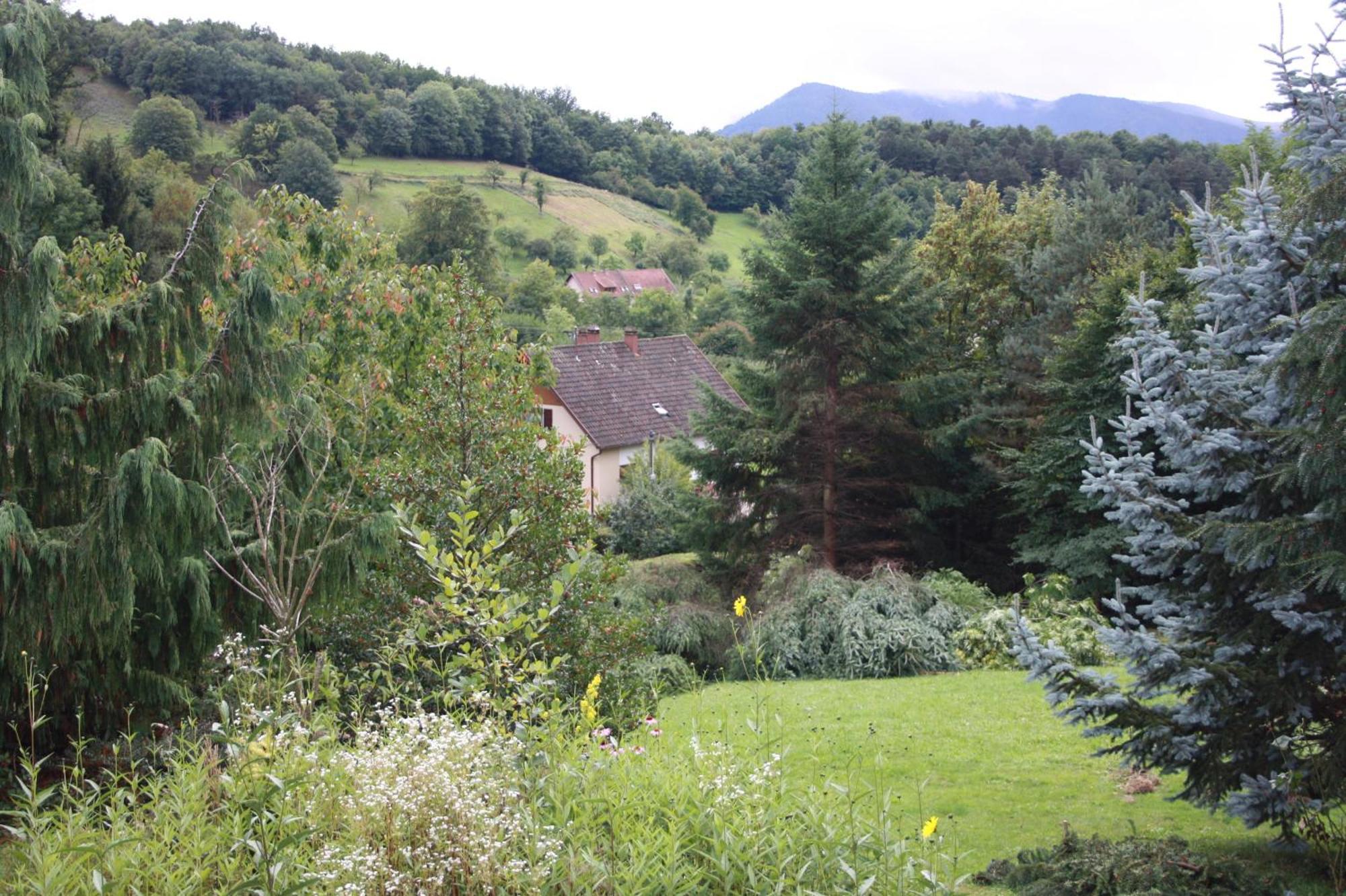 Gite Bellevue Breitenbach Kültér fotó